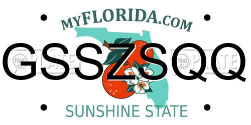 GSSZSQQ Florida License Plate