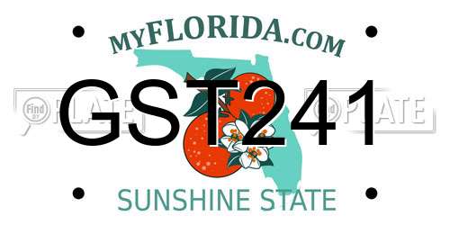 GST241 Florida License Plate