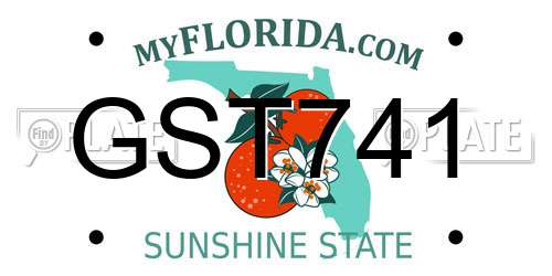 GST741 Florida License Plate