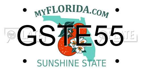 GSTE55 Florida License Plate