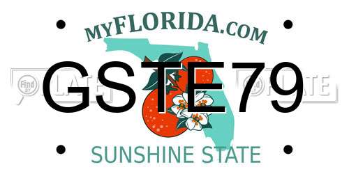 GSTE79 Florida License Plate