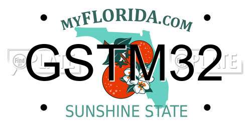 GSTM32 Florida License Plate