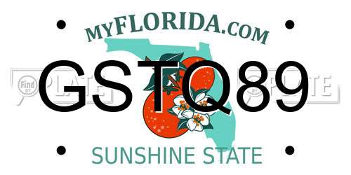GSTQ89 Florida License Plate