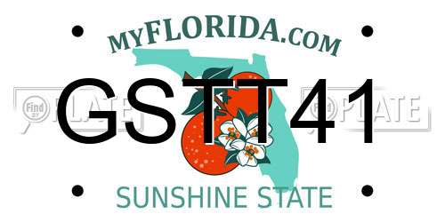 GSTT41 Florida License Plate
