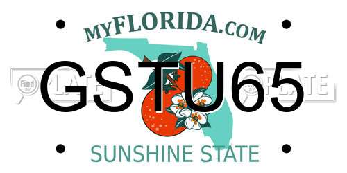 GSTU65 Florida License Plate