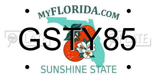 GSTY85 Florida License Plate