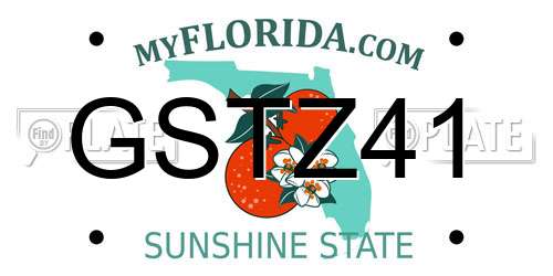 GSTZ41 Florida License Plate
