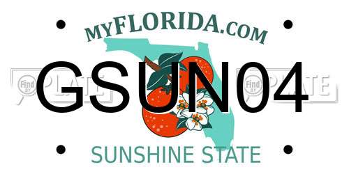 GSUN04 Florida License Plate