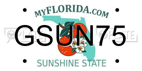GSUN75 Florida License Plate
