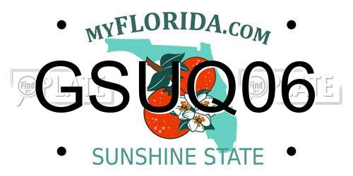 GSUQ06 Florida License Plate