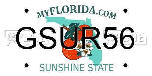 GSUR56 Florida License Plate