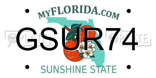 GSUR74 Florida License Plate