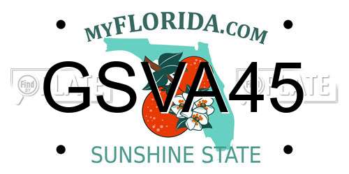 GSVA45 Florida License Plate