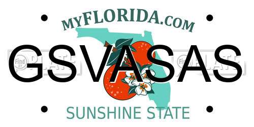 GSVASAS Florida License Plate