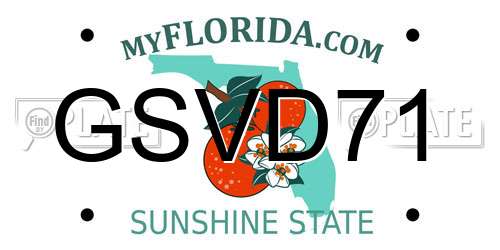 GSVD71 Florida License Plate