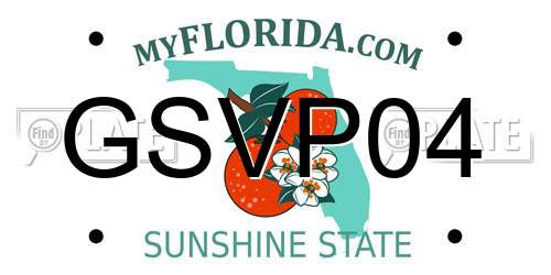 GSVP04 Florida License Plate