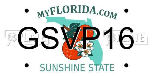 GSVP16 Florida License Plate