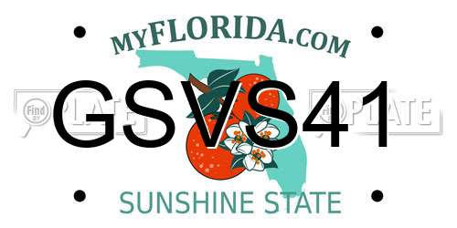 GSVS41 Florida License Plate