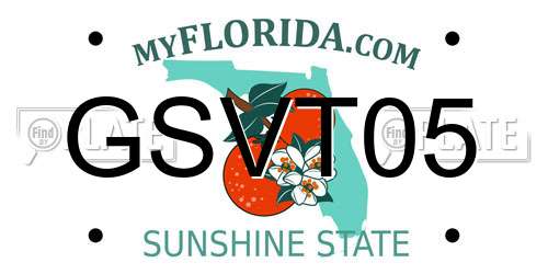 GSVT05 Florida License Plate