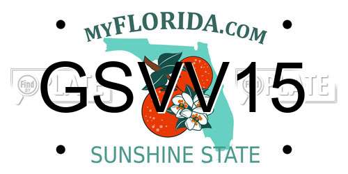 GSVV15 Florida License Plate
