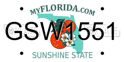 GSW1551 Florida License Plate
