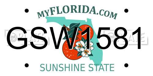 GSW1581 Florida License Plate