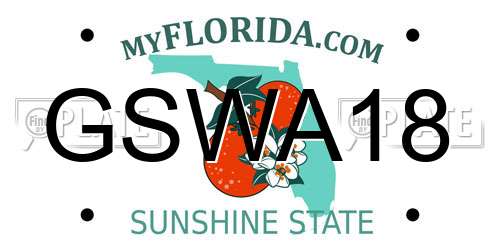 GSWA18 Florida License Plate