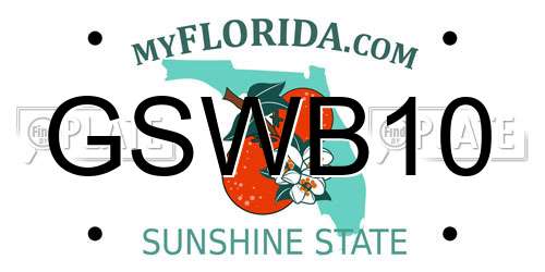 GSWB10 Florida License Plate