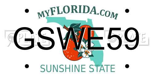 GSWE59 Florida License Plate
