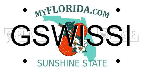 GSWISSI Florida License Plate
