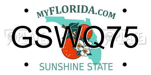 GSWQ75 Florida License Plate