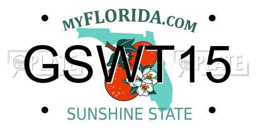 GSWT15 Florida License Plate