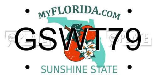 GSWT79 Florida License Plate