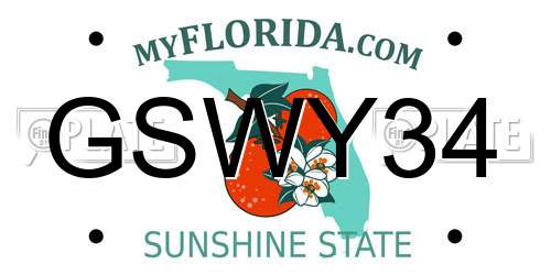 GSWY34 Florida License Plate