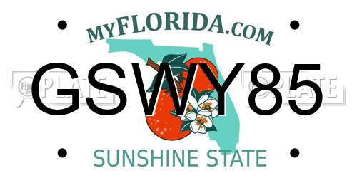 GSWY85 Florida License Plate