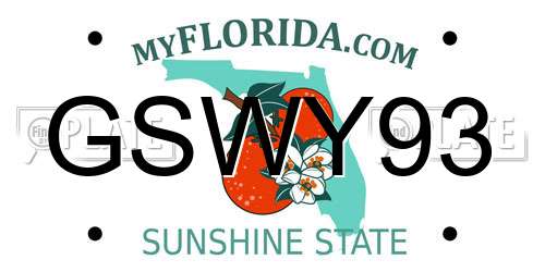 GSWY93 Florida License Plate