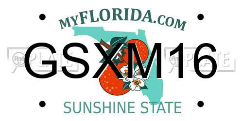 GSXM16 Florida License Plate