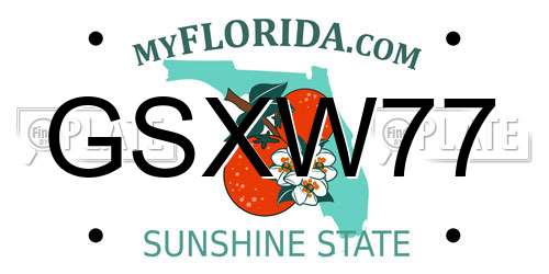 GSXW77 Florida License Plate