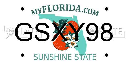 GSXY98 Florida License Plate