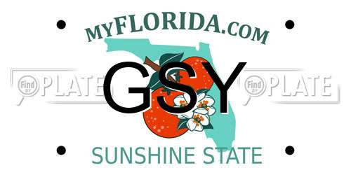 GSY Florida License Plate