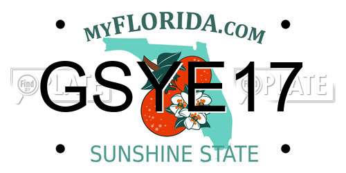 GSYE17 Florida License Plate