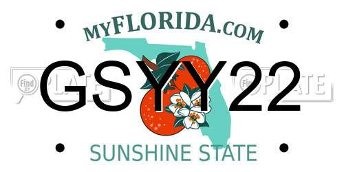 GSYY22 Florida License Plate