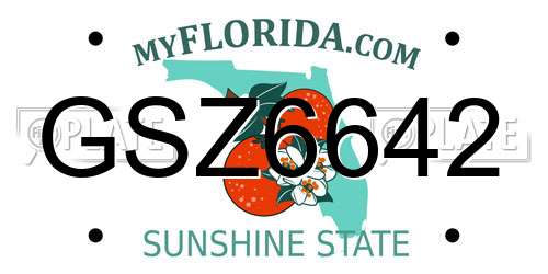 GSZ6642 Florida License Plate