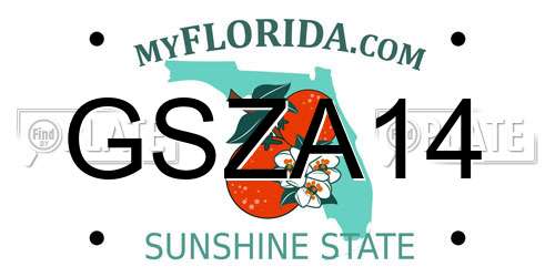 GSZA14 Florida License Plate