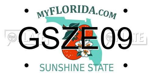 GSZE09 Florida License Plate