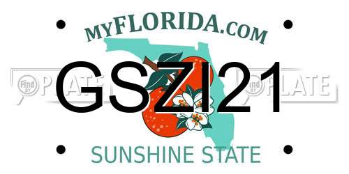 GSZI21 Florida License Plate