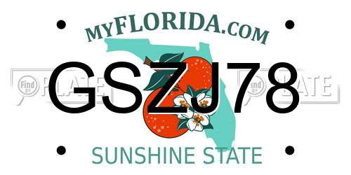 GSZJ78 Florida License Plate
