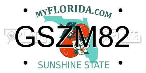 GSZM82 Florida License Plate