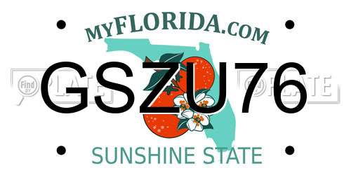 GSZU76 Florida License Plate