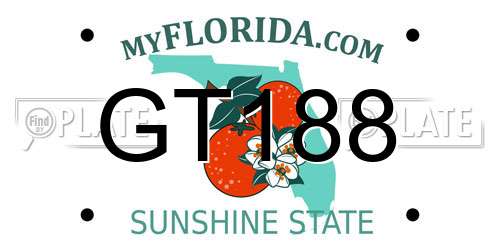 GT188 Florida License Plate